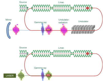 Generic views of ERL-based synchrotron-radiation (top) and laser (bottom) assisted gamma-ray sources.